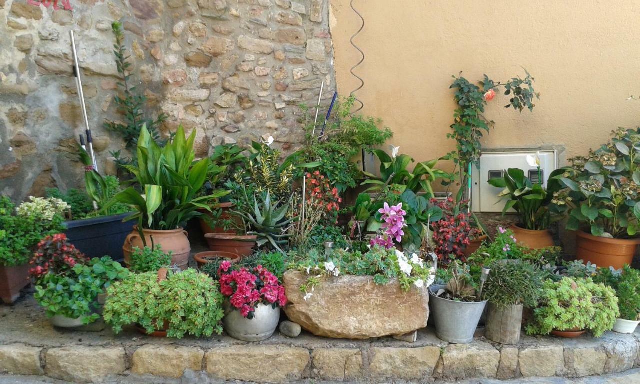 Estudios Casa Lola De Talarn エクステリア 写真